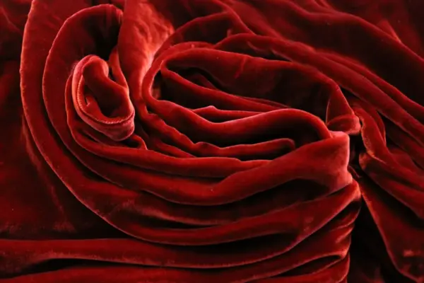 Red velvet fabric is elegantly swirled.